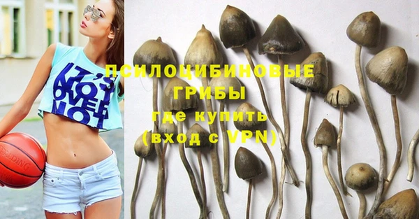 MDMA Вяземский