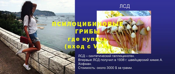 прущая мука Вязники