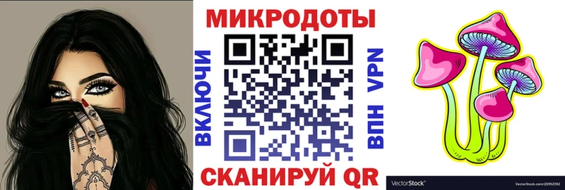 Галлюциногенные грибы Psilocybe Нестеров
